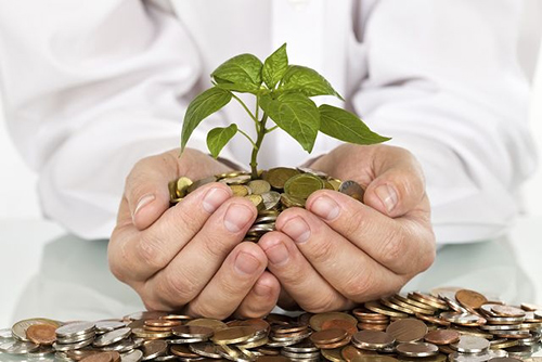 Wealth Management